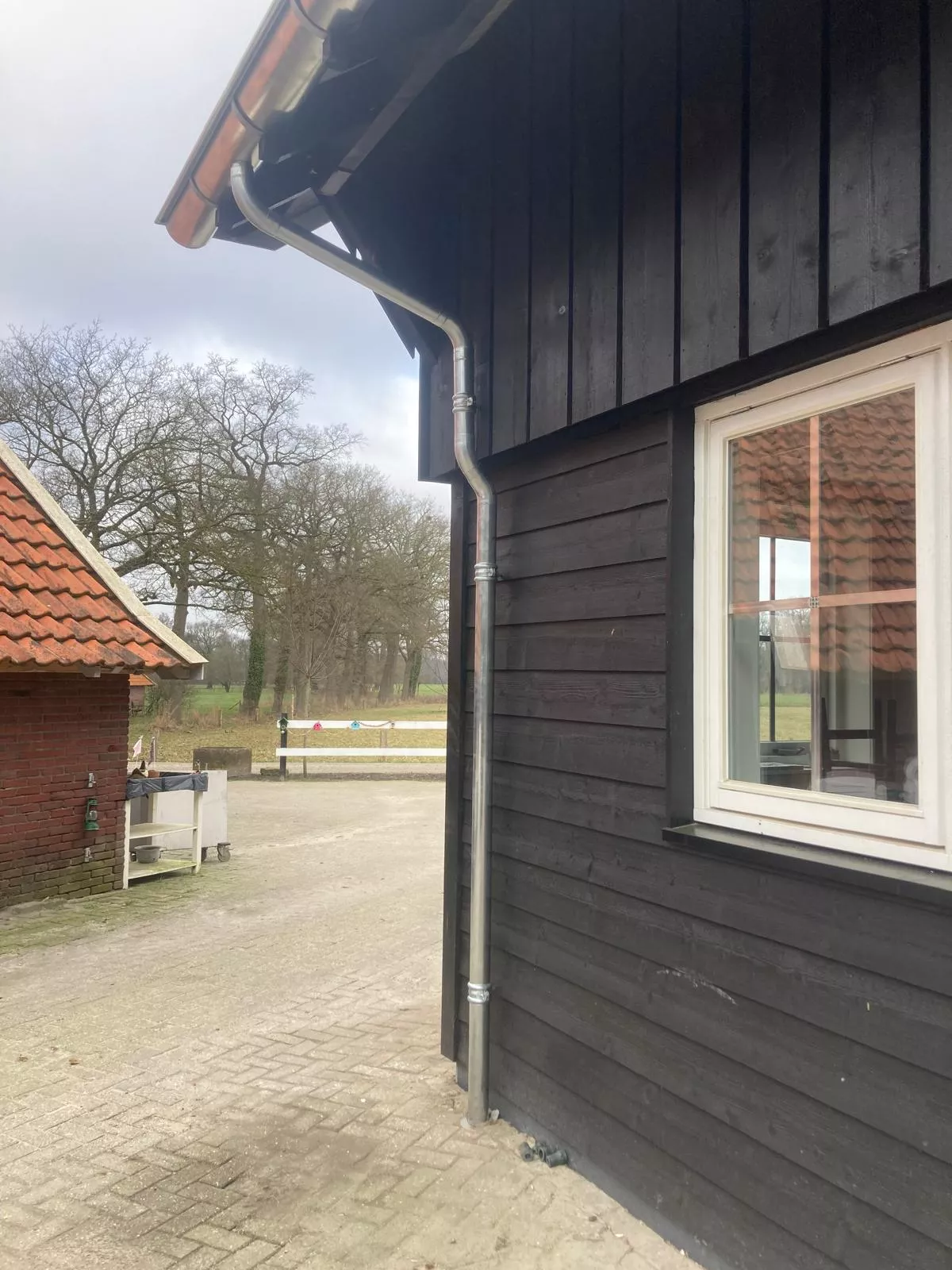 geurts-pijp.jpeg